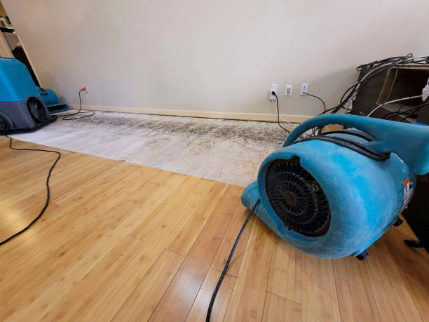 Professional Structural Drying technician working in Eldridge, IA